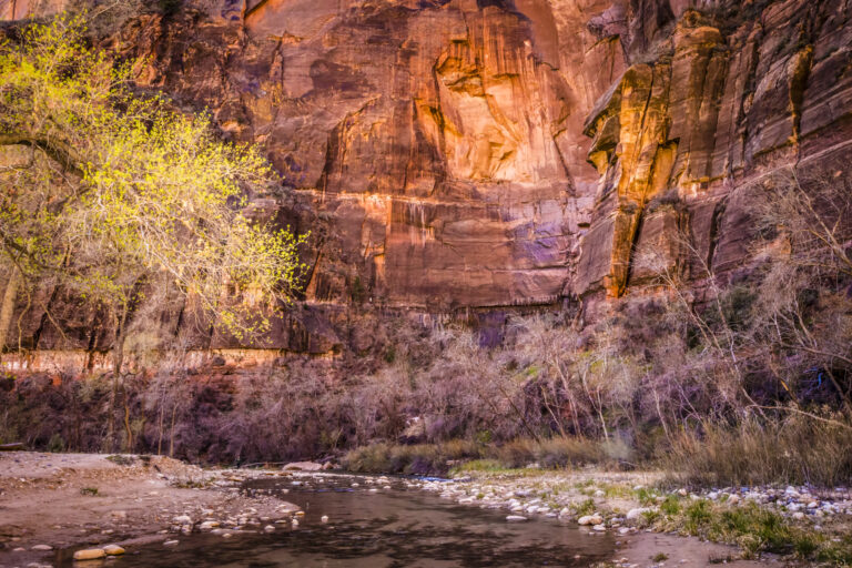 Experience the Thrill of Zion Narrows