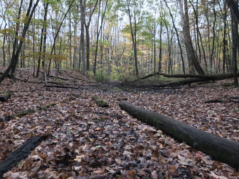 Brandywine Gorge Trail – Cuyahoga Valley National Park Guide