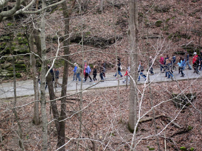 Cave Tours – Mammoth Cave National Park Guide