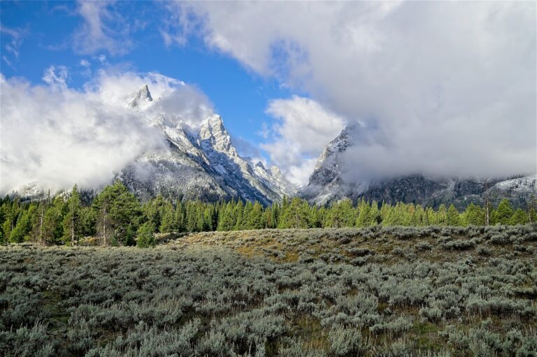 Cascade Canyon Trail – Grand Teton National Park Guide