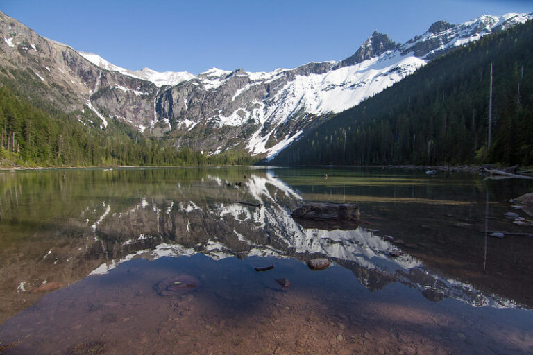 Avalanche Lake Trail – Glacier National Park Guide