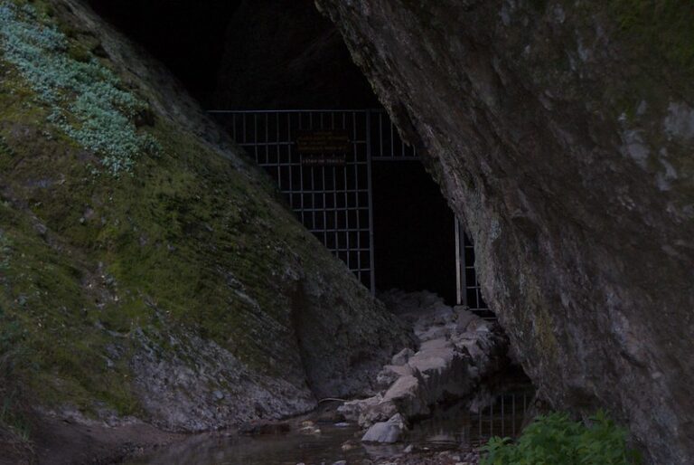 Balconies Caves Loop – Pinnacles National Park Guide