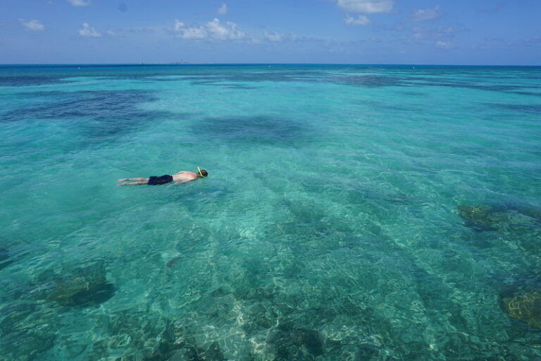 Dry Tortugas Snorkeling – Dry Tortugas National Park Guide