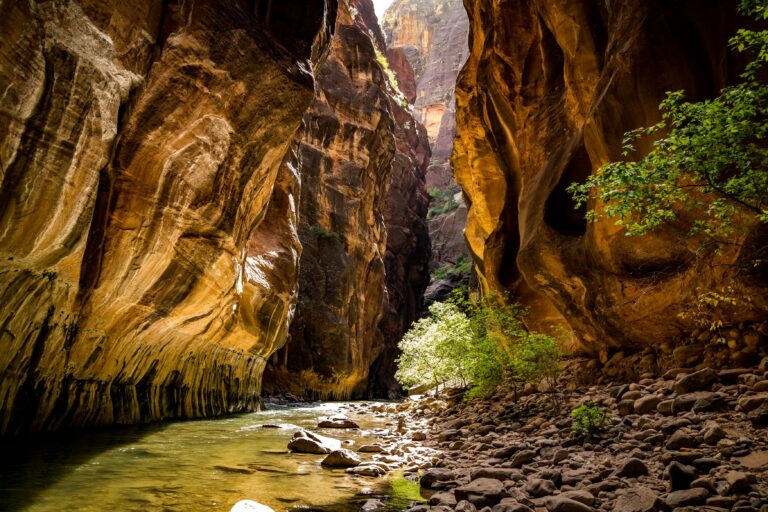 The Narrows Hiking Guide – Zion National Park