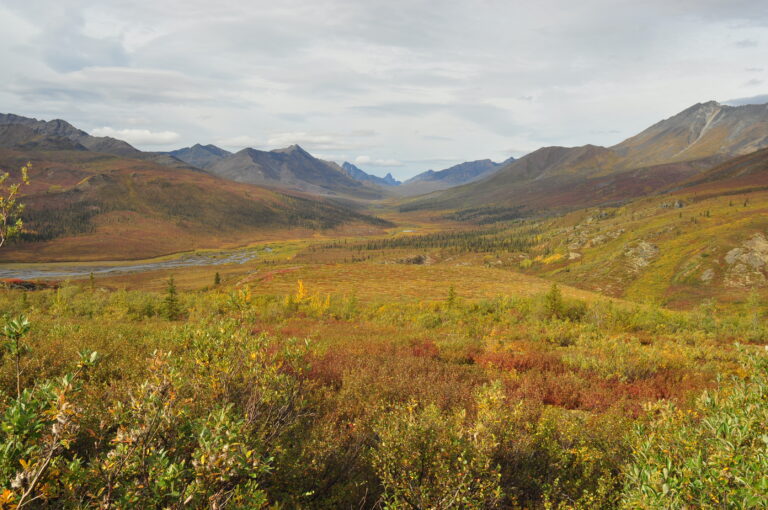 Yukon-Charley Rivers National Preserve