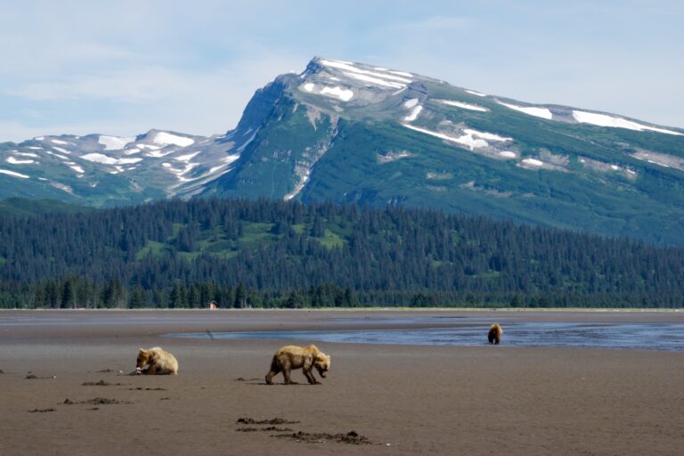 Lake Clark National Preserve