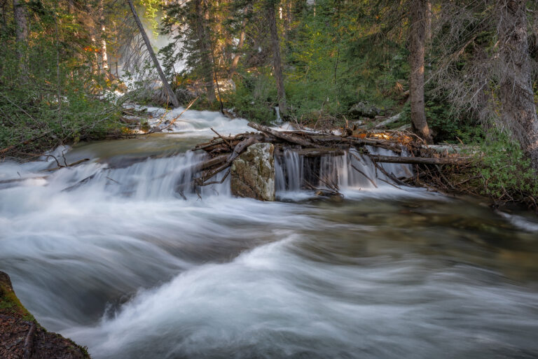 Hidden Falls Hike – Grand Teton National Park Guide
