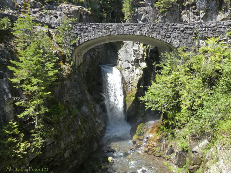 Longmire to Christine Falls – Mount Rainier National Park Guide