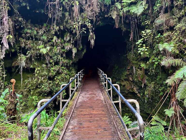 Nahuku Trail – Hawaiʻi Volcanoes National Park Guide