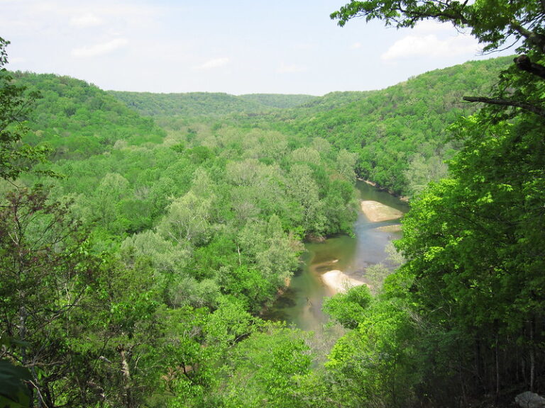 Green River Narrows Canoe – Mammoth Cave National Park Guide