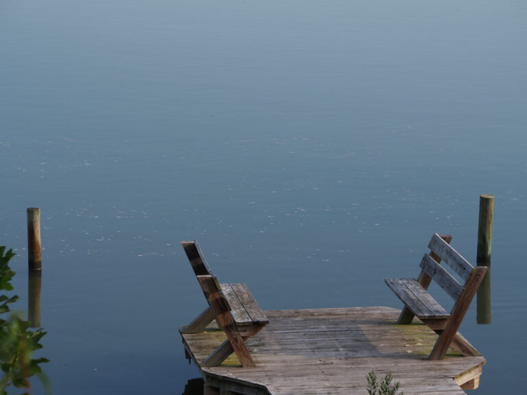 Best Picnic Areas in Chesapeake & Ohio Canal National Historical Park