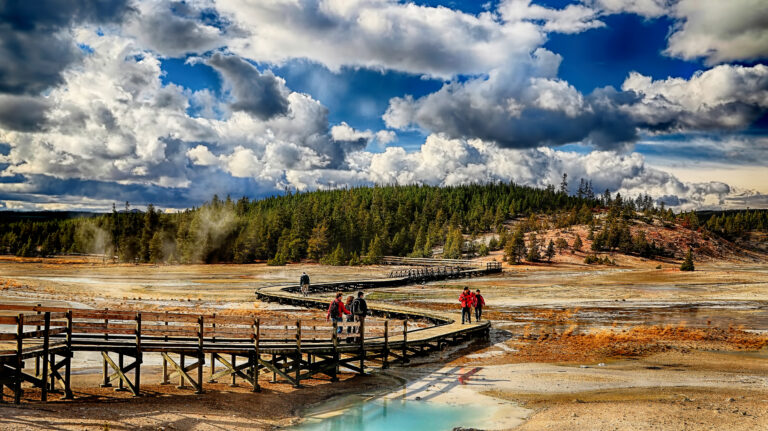 Best Picnic Areas in Yellowstone National Park