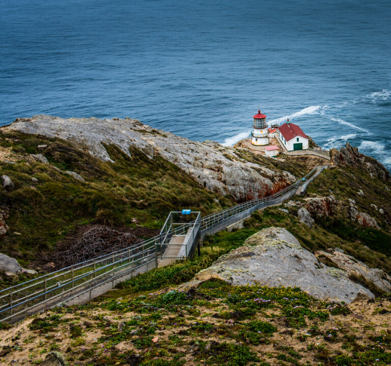 Best Picnic Areas in Point Reyes National Seashore