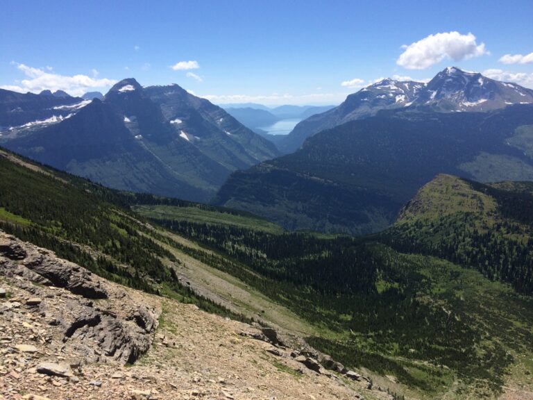 Best Picnic Areas in Glacier National Park