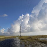 Best Picnic Areas in Gulf Islands National Seashore