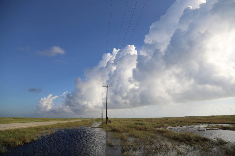 Best Picnic Areas in Gulf Islands National Seashore