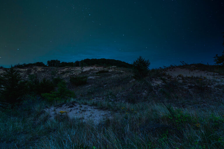 Best Picnic Areas in Indiana Dunes National Park