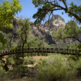 Best Picnic Areas in Zion National Park