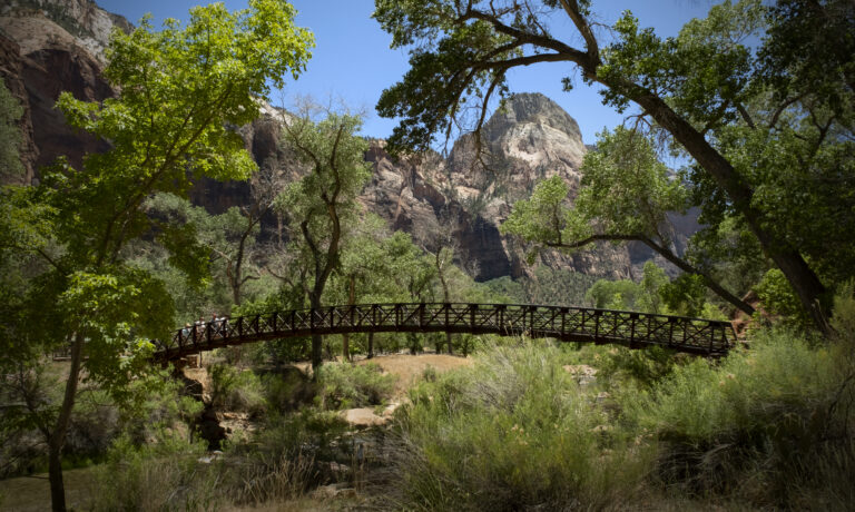 Best Picnic Areas in Zion National Park