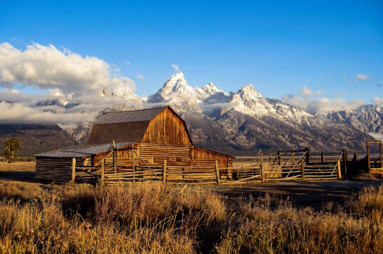 Best Picnic Areas in Grand Teton National Park