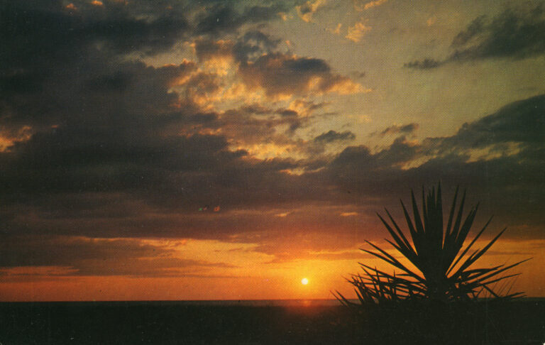 Best Picnic Areas in Cape Hatteras National Seashore