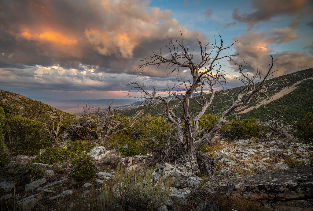 5 Best Fall Hikes in Great Basin National Park