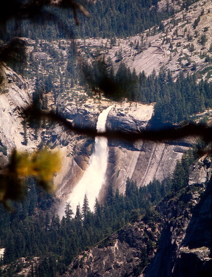 7 Best Easy Hikes in Yosemite National Park