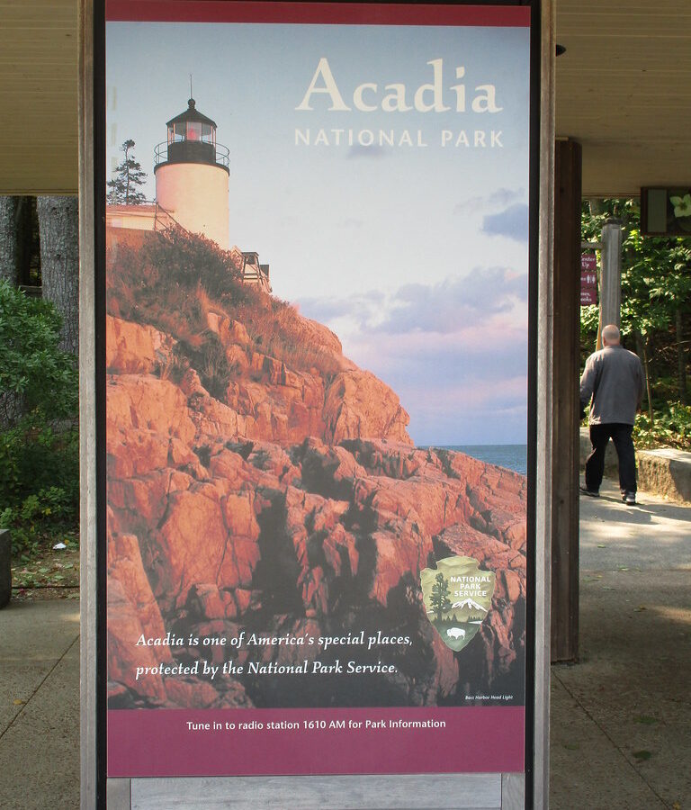 Stargazing in Acadia National Park: When and Where to See the Night Sky