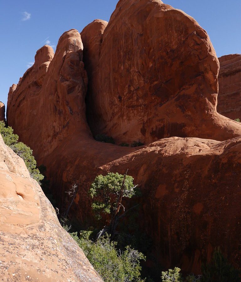 7 Best Spring Hikes in Arches National Park