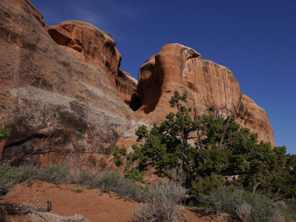 Arches National Park Camping Guide: Campgrounds, Reservations and Tips