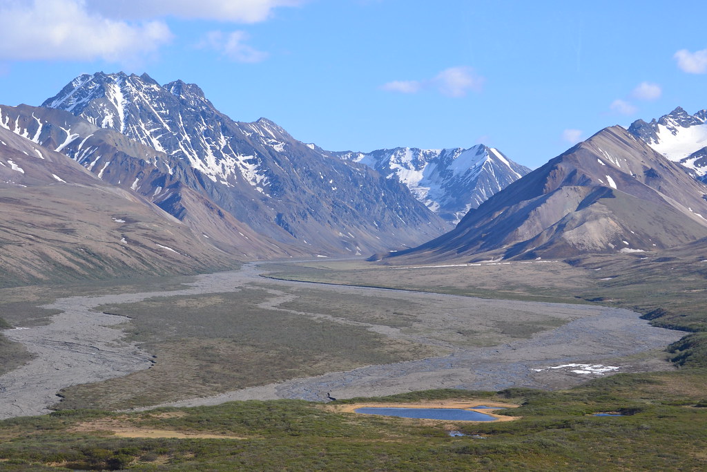 Where to Stay Near Denali National Park: Lodges, Campgrounds and Towns