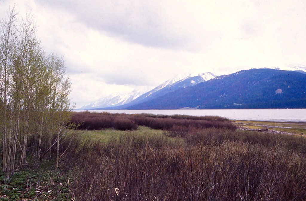 How to Get to Grand Teton National Park: Airports, Roads and Getting Around