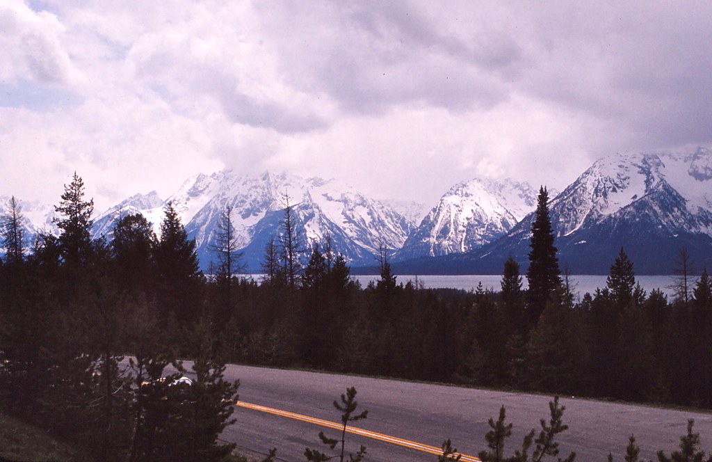 Yellowstone National Park and Grand Teton National Park: How to Visit Both on One Trip