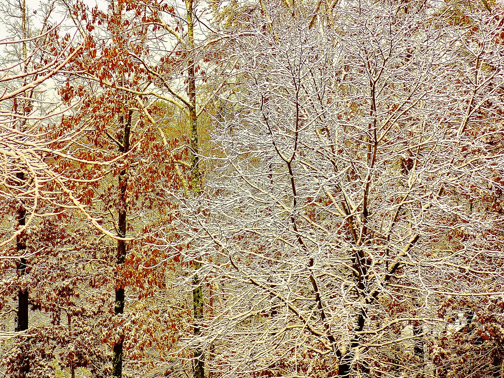 7 Best Things to Do in Great Smoky Mountains National Park