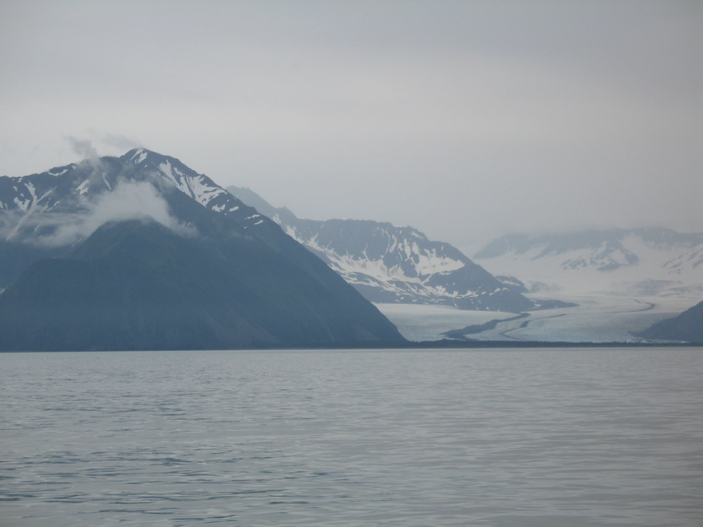 Denali National Park and Kenai Fjords National Park: How to Visit Both on One Trip
