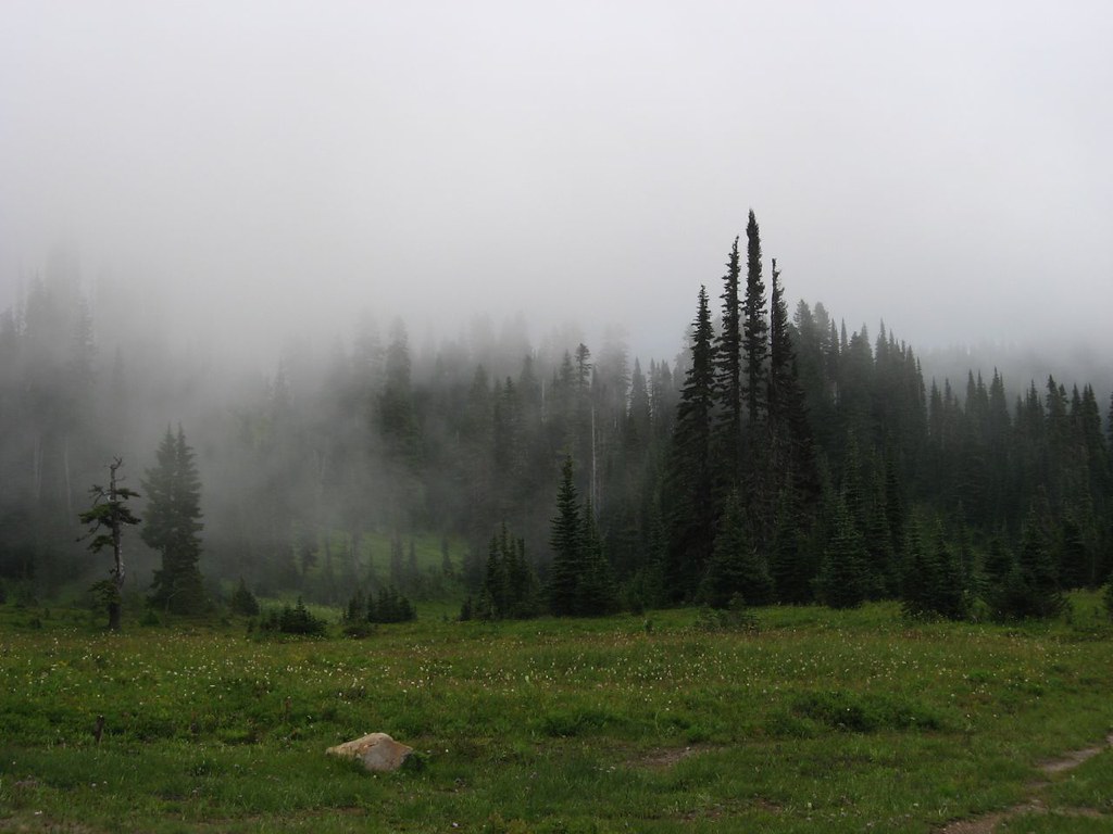 Mount Rainier National Park in Summer: What to Expect and What to Do