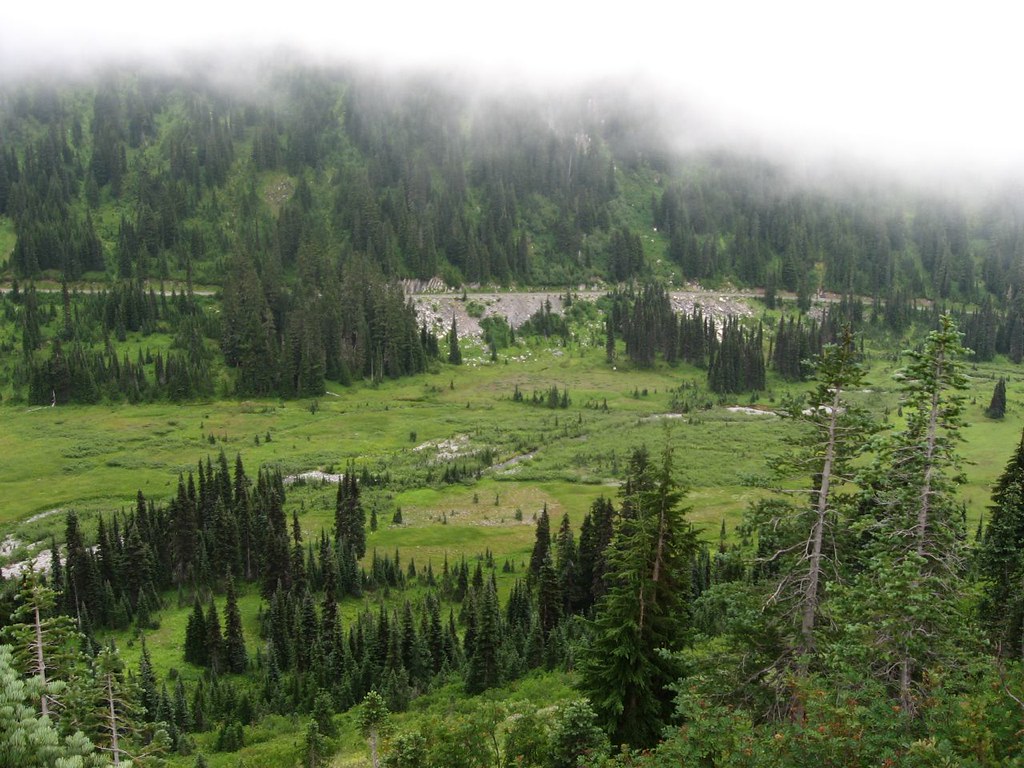 How to Get to Mount Rainier National Park: Airports, Roads and Getting Around