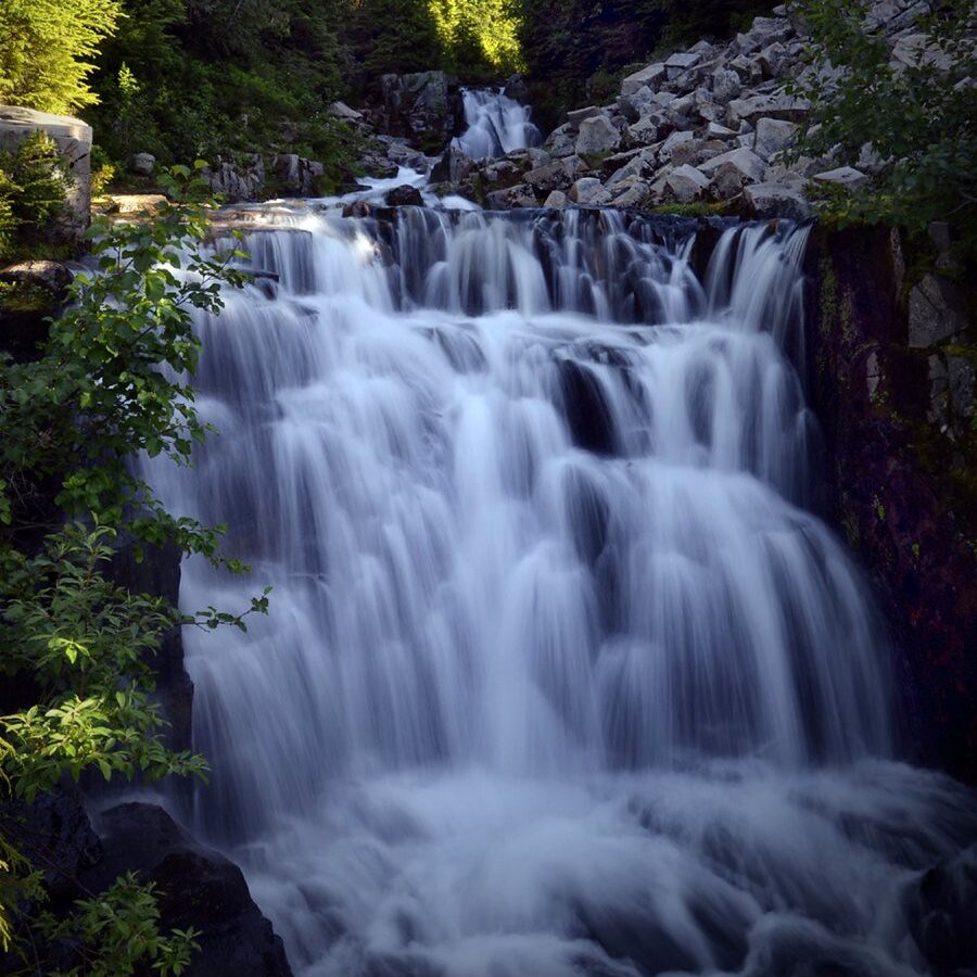 Mount Rainier National Park and Olympic National Park: How to Visit Both on One Trip