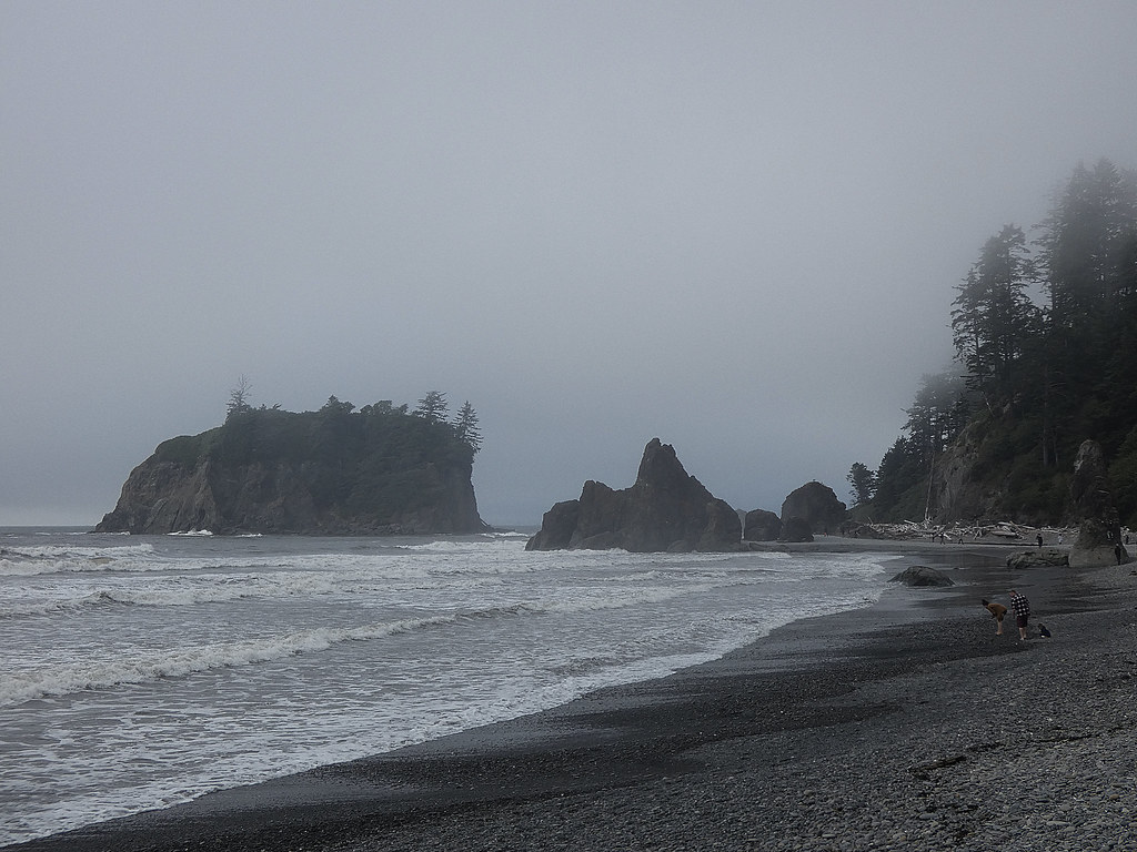 Olympic National Park in Fall: What to Expect and What to Do