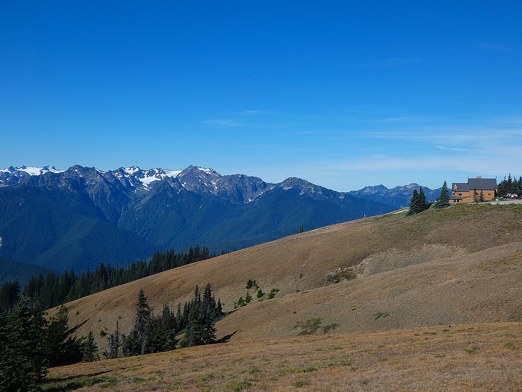 Olympic National Park in Spring: What to Expect and What to Do