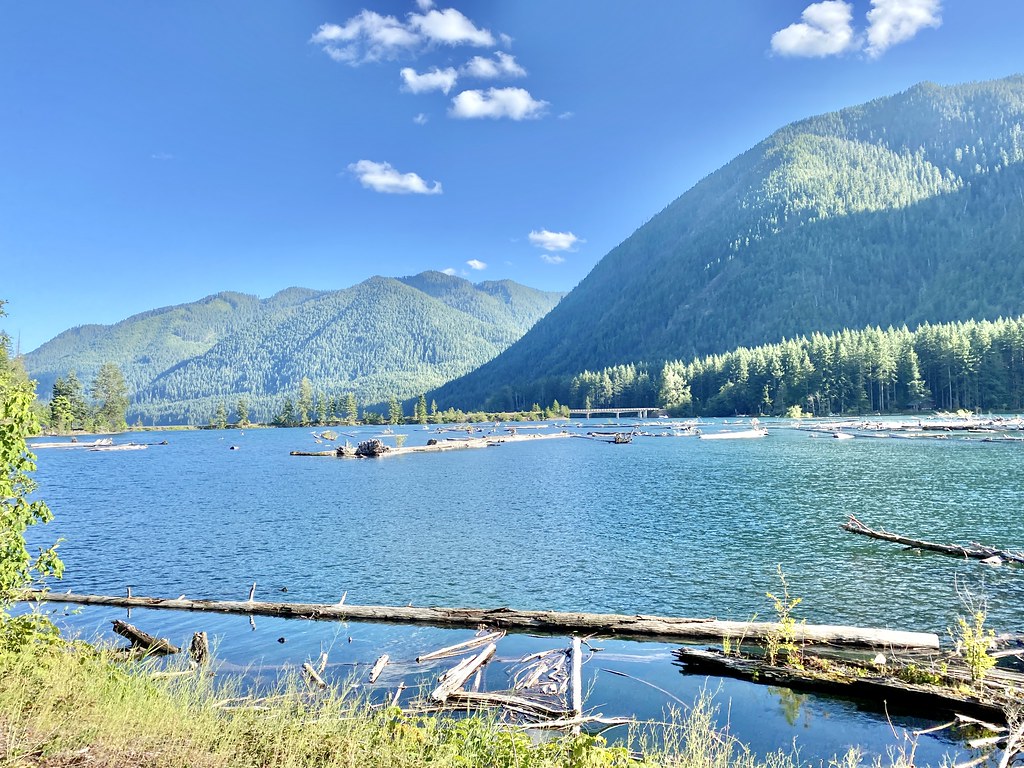 Olympic National Park Camping Guide: Campgrounds, Reservations and Tips