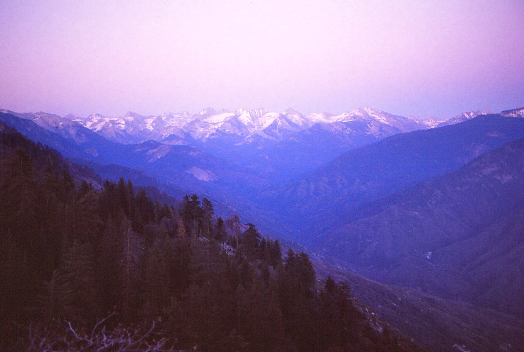 Where to Stay Near Sequoia National Park: Lodges, Campgrounds and Towns