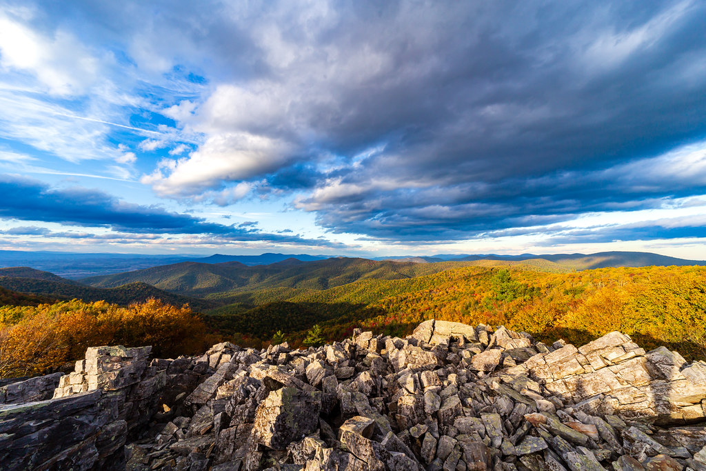 Shenandoah National Park in Summer: What to Expect and What to Do