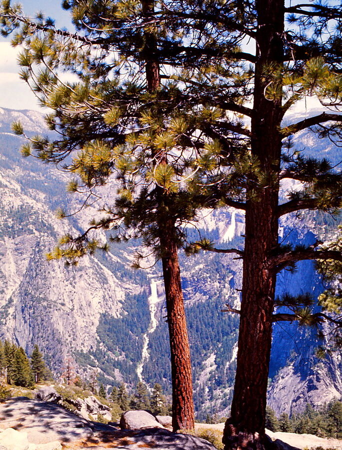 How to Get to Yosemite National Park: Airports, Roads and Getting Around